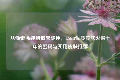 从像素涂装到情感载体，CSGO优质皮肤火遍十年的密码与实用皮肤推荐
