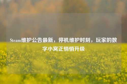 Steam维护公告最新，停机维护时刻，玩家的数字小窝正悄悄升级