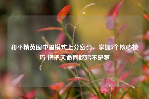 和平精英圈中圈模式上分密码，掌握5个核心技巧 把把天命圈吃鸡不是梦