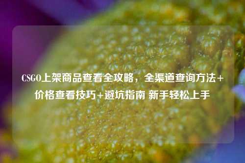 CSGO上架商品查看全攻略,全渠道查询方法+价格查看技巧+避坑指南 新手轻松上手