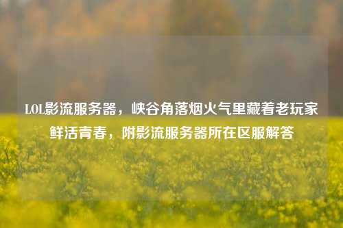 LOL影流服务器,峡谷角落烟火气里藏着老玩家鲜活青春,附影流服务器所在区服解答
