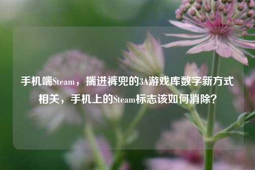 手机端Steam，揣进裤兜的3A游戏库数字新方式相关，手机上的Steam标志该如何消除？