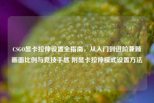 CSGO显卡拉伸设置全指南，从入门到进阶兼顾画面比例与竞技手感 附显卡拉伸模式设置方法