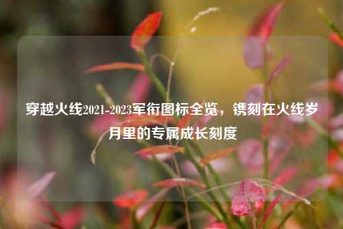穿越火线2021-2023军衔图标全览,镌刻在火线岁月里的专属成长刻度