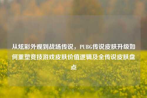 从炫彩外观到战场传说,PUBG传说皮肤升级如何重塑竞技游戏皮肤价值逻辑及全传说皮肤盘点