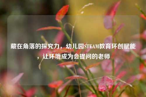 藏在角落的探究力，幼儿园STEAM教育环创赋能，让环境成为会提问的老师