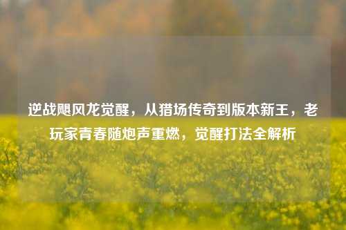 逆战飓风龙觉醒,从猎场传奇到版本新王,老玩家青春随炮声重燃,觉醒打法全解析