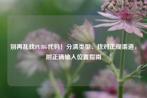 别再乱找PUBG代码！分清类型、找对正规渠道，附正确输入位置指南