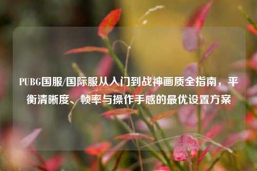 PUBG国服/国际服从入门到战神画质全指南，平衡清晰度、帧率与操作手感的最优设置方案