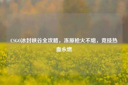 CSGO冰封峡谷全攻略,冻原枪火不熄,竞技热血永燃