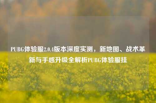 PUBG体验服2.0.4版本深度实测,新地图、战术革新与手感升级全解析PUBG体验服挂