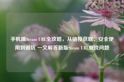 手机端Steam URL全攻略,从链接获取、安全使用到避坑 一文解答新版Steam URL查找问题