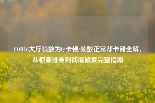 COD16大厅帧数为0/卡顿/帧数正常却卡滞全解,从根源排查到彻底修复完整指南