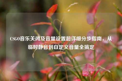 CSGO音乐关闭及音量设置超详细分步指南，从临时静音到自定义音量全搞定