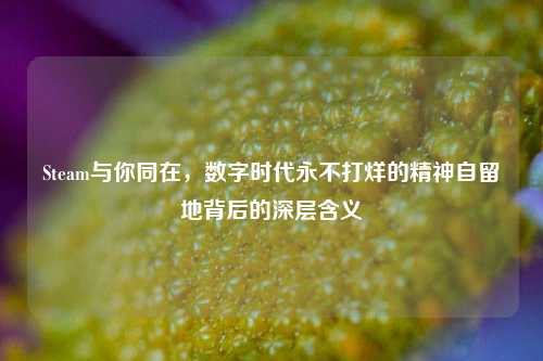 Steam与你同在，数字时代永不打烊的精神自留地背后的深层含义