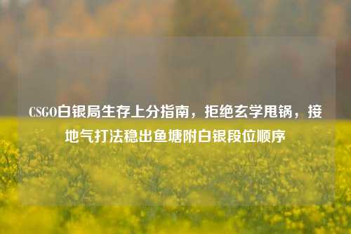CSGO白银局生存上分指南,拒绝玄学甩锅,接地气打法稳出鱼塘附白银段位顺序