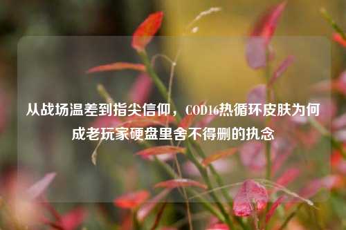 从战场温差到指尖信仰,COD16热循环皮肤为何成老玩家硬盘里舍不得删的执念