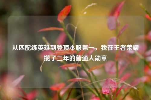 从匹配练英雄到登顶本服第一,我在王者荣耀攒了三年的普通人勋章