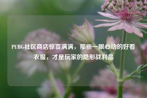 PUBG社区商店惊喜满满，那些一眼心动的好看衣服，才是玩家的隐形战利品