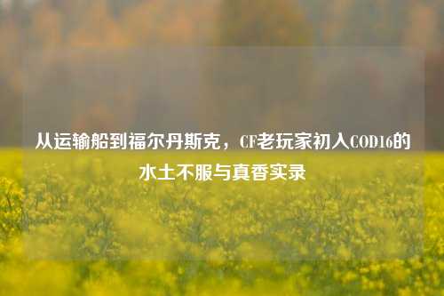 从运输船到福尔丹斯克，CF老玩家初入COD16的水土不服与真香实录