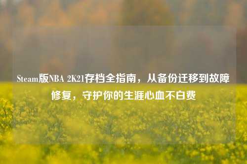 Steam版NBA 2K21存档全指南，从备份迁移到故障修复，守护你的生涯心血不白费