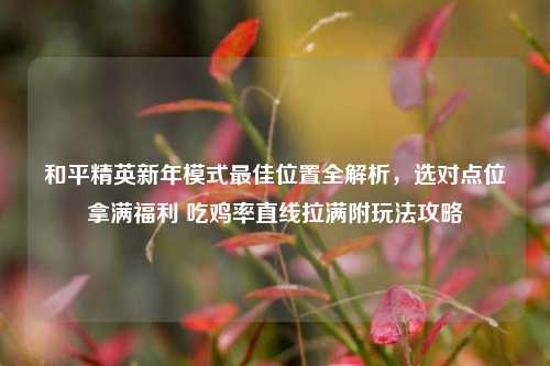 和平精英新年模式最佳位置全解析,选对点位拿满福利 吃鸡率直线拉满附玩法攻略
