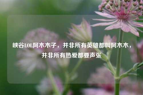 峡谷LOL阿木木子,并非所有英雄都叫阿木木,并非所有热爱都要声张