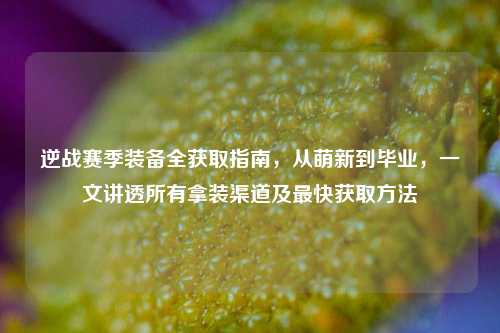 逆战赛季装备全获取指南，从萌新到毕业，一文讲透所有拿装渠道及最快获取方法