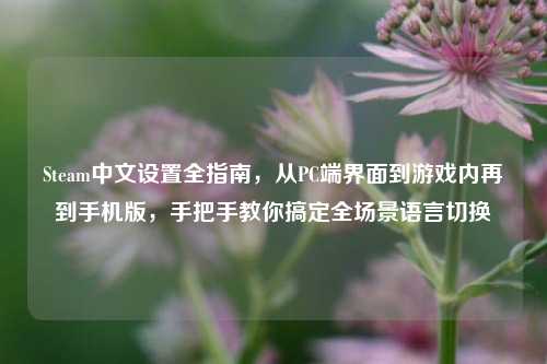 Steam中文设置全指南，从PC端界面到游戏内再到手机版，手把手教你搞定全场景语言切换