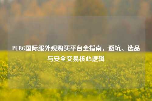 PUBG国际服外观购买平台全指南，避坑、选品与安全交易核心逻辑