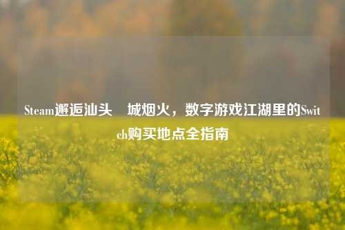Steam邂逅汕头鮀城烟火，数字游戏江湖里的Switch购买地点全指南
