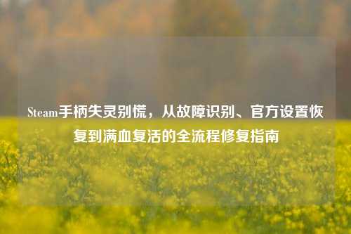 Steam手柄失灵别慌，从故障识别、官方设置恢复到满血复活的全流程修复指南