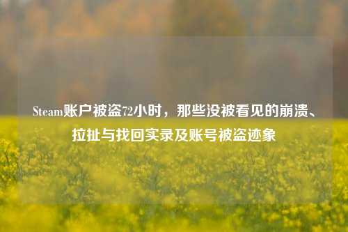 Steam账户被盗72小时，那些没被看见的崩溃、拉扯与找回实录及账号被盗迹象