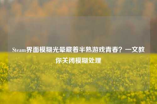 Steam界面模糊光晕藏着半熟游戏青春?一文教你关闭模糊处理