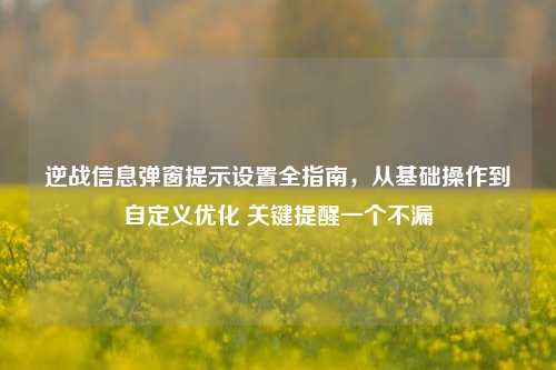 逆战信息弹窗提示设置全指南,从基础操作到自定义优化 关键提醒一个不漏