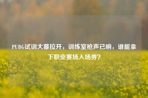 PUBG试训大幕拉开,训练室枪声已响,谁能拿下职业赛场入场券?