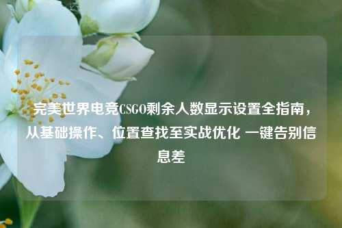 完美世界电竞CSGO剩余人数显示设置全指南,从基础操作、位置查找至实战优化 一键告别信息差