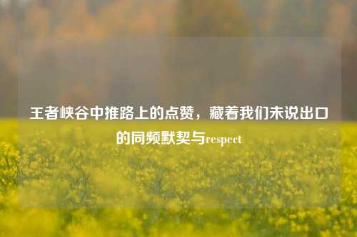 王者峡谷中推路上的点赞,藏着我们未说出口的同频默契与respect