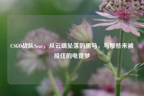 CSGO战队Soar,从云端坠落的黑马,与那些未被接住的电竞梦