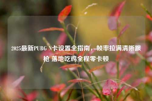 2025最新PUBG N卡设置全指南，帧率拉满清晰跟枪 落地吃鸡全程零卡顿