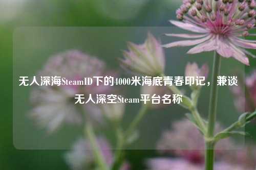 无人深海SteamID下的4000米海底青春印记，兼谈无人深空Steam平台名称