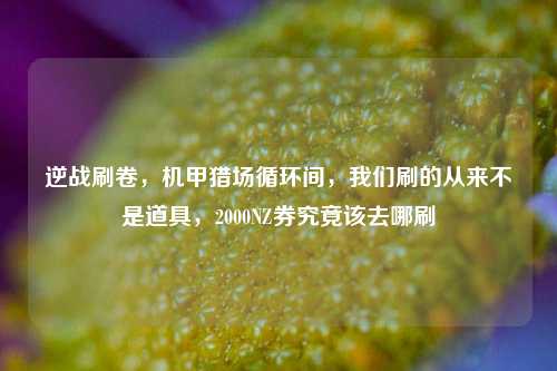 逆战刷卷，机甲猎场循环间，我们刷的从来不是道具，2000NZ券究竟该去哪刷