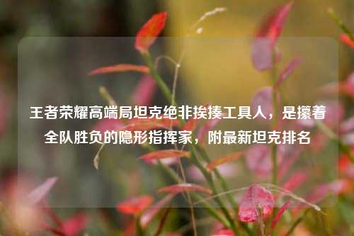 王者荣耀高端局坦克绝非挨揍工具人,是攥着全队胜负的隐形指挥家,附最新坦克排名