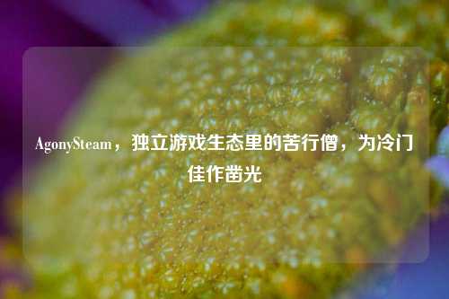 AgonySteam，独立游戏生态里的苦行僧，为冷门佳作凿光