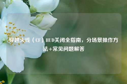 穿越火线（CF）HUD关闭全指南，分场景操作方法+常见问题解答