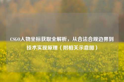 CSGO人物坐标获取全解析,从合法合规边界到技术实现原理(附相关示意图)