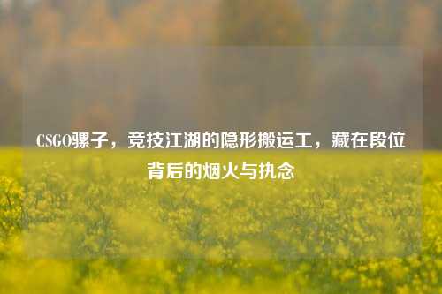 CSGO骡子，竞技江湖的隐形搬运工，藏在段位背后的烟火与执念