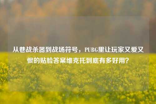 从巷战杀器到战场符号，PUBG里让玩家又爱又恨的贴脸答案维克托到底有多好用？