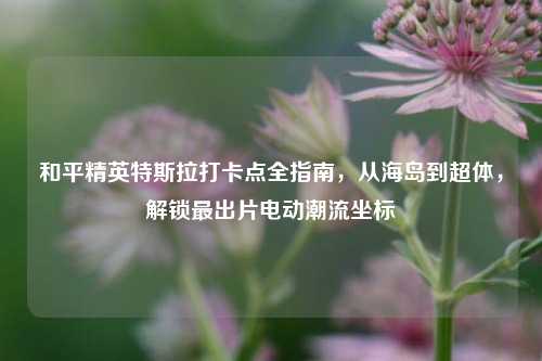 和平精英特斯拉打卡点全指南,从海岛到超体,解锁最出片电动潮流坐标