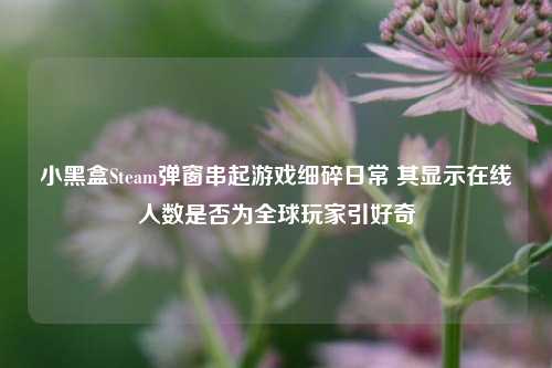 小黑盒Steam弹窗串起游戏细碎日常 其显示在线人数是否为全球玩家引好奇